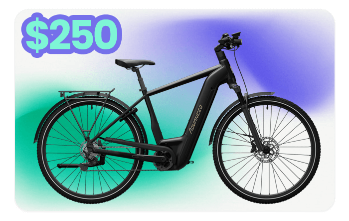 ebike gift card