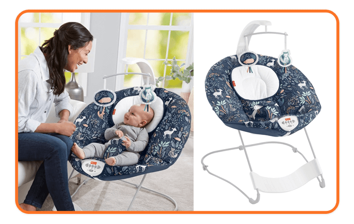 Fisher-Price Deluxe Bouncer