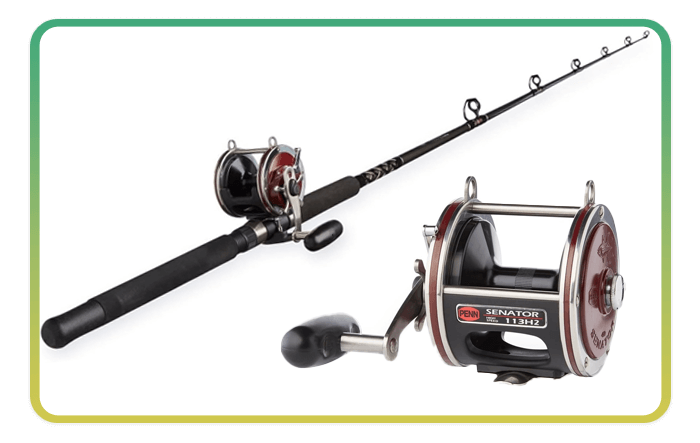Penn Fishing Rod and Reel Combo