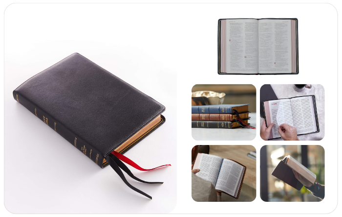 Premium Bible